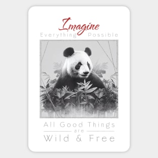Panda Nature Outdoor Imagine Wild Free Sticker